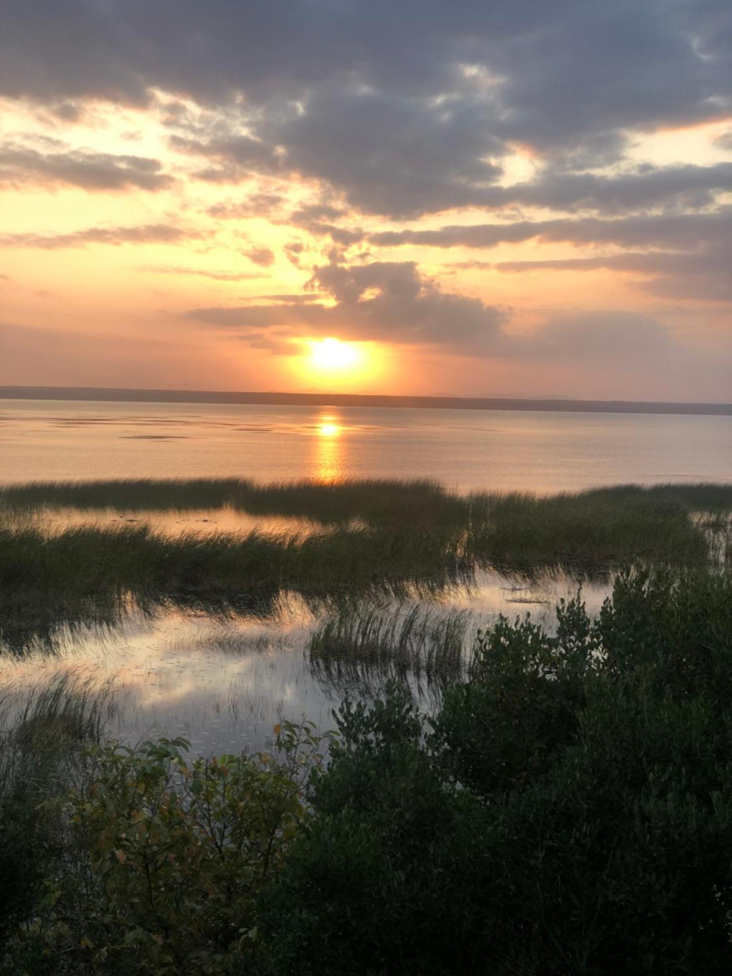 Saint Lucia Estuary El Seuno De Africa -The Dream Of Africa 빌라 외부 사진