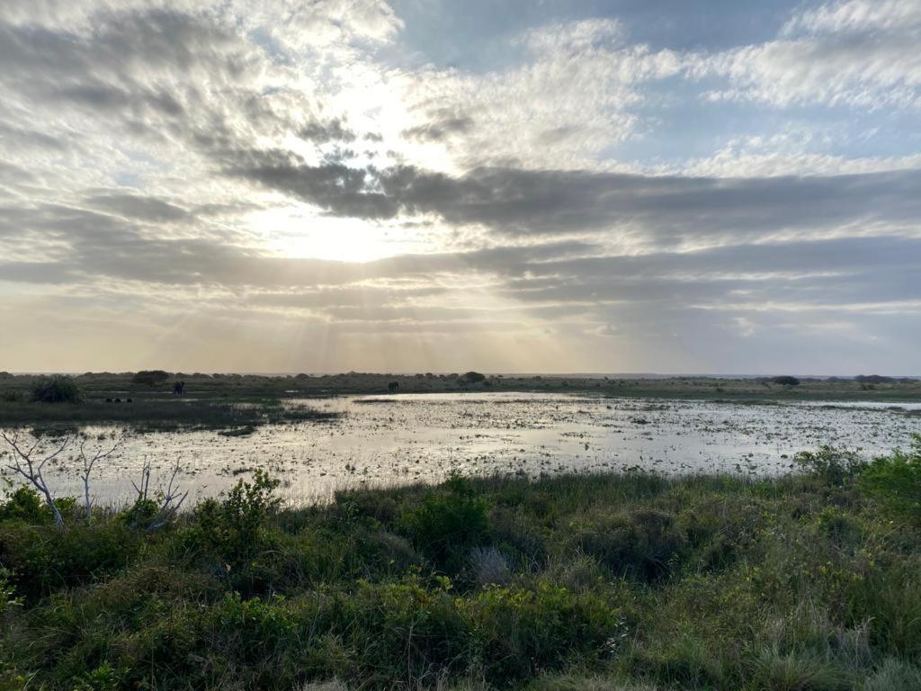 Saint Lucia Estuary El Seuno De Africa -The Dream Of Africa 빌라 외부 사진